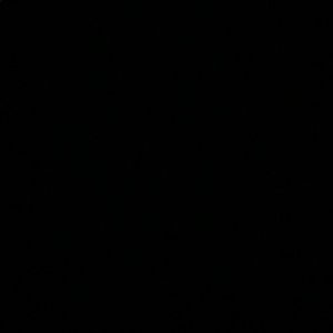 Meet your Posher, Gary